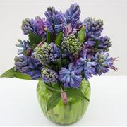 Sweet Hyacinth Vase