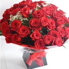 50 or 100 Luxury Red Roses