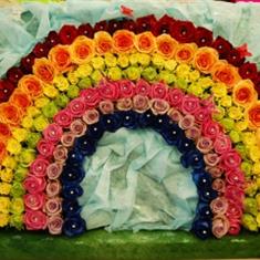rainbow roses