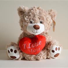 Teddy love you