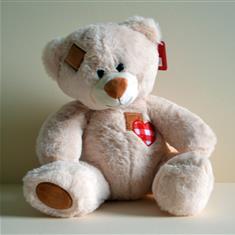teddy heart